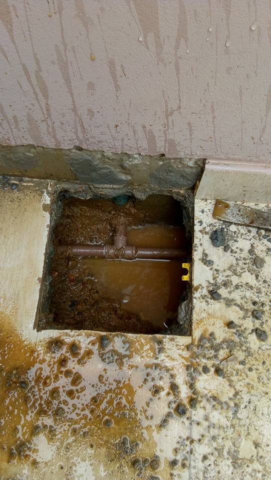 HS CAÇA VAZA - Foto 1